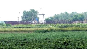 রোহিঙ্গা গণহত্যার অতীত থেকে বর্তমান